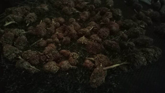 Growreport Bild 15
