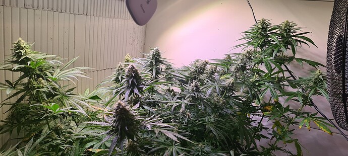 Growreport Bild 9