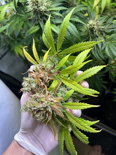 Growreport Bild 16