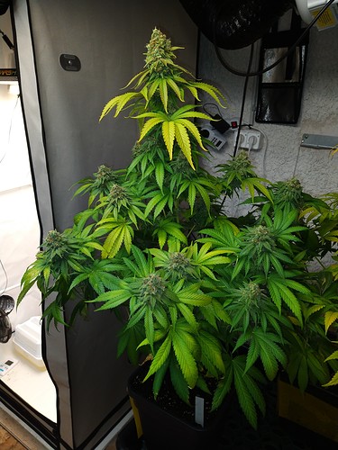 Growreport Bild 7