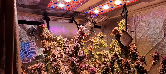 Growreport Bild 14