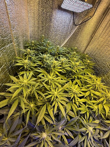 Growreport Bild 10