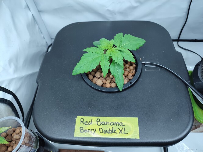 Growreport Bild 18