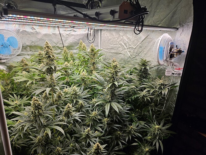 Growreport Bild 24