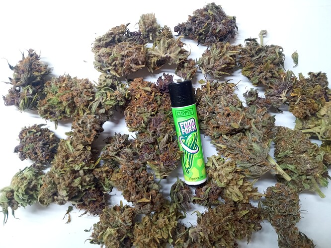 Growreport Bild 7