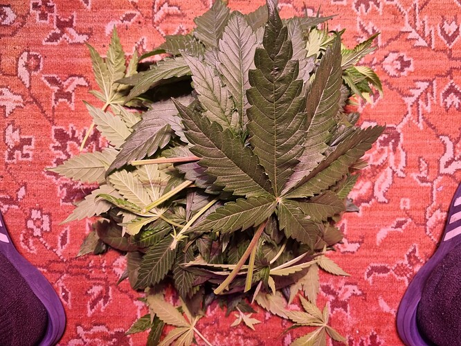 Growreport Bild 4
