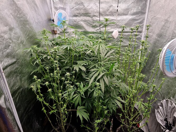 Growreport Bild 7