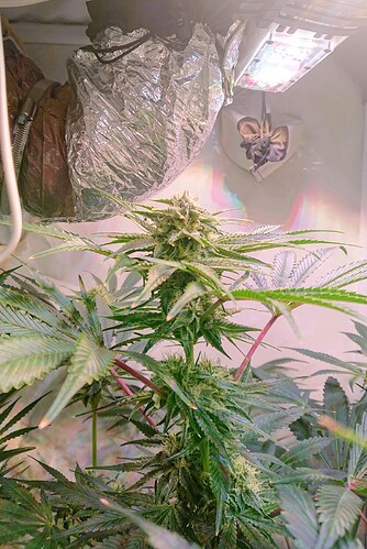 Growreport Bild 23