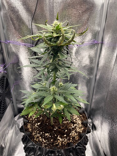 Growreport Bild 2