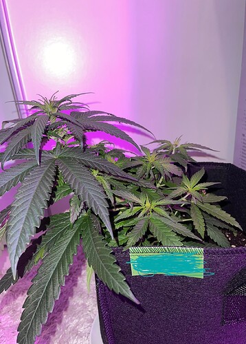 Growreport Bild 16