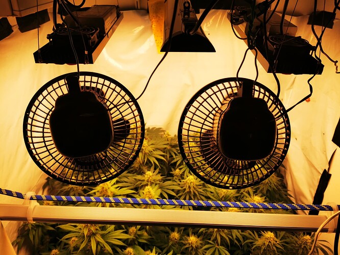 Growreport Bild 6