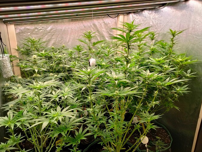 IMG20231120111822