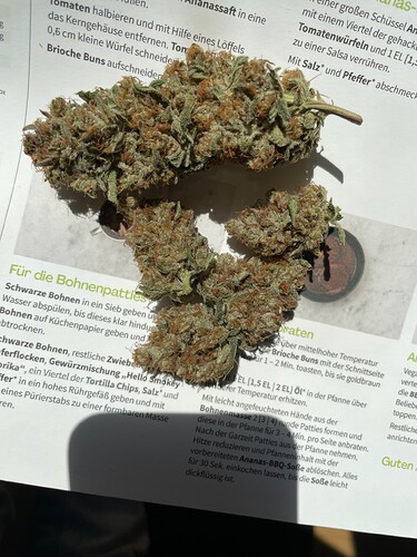 Growreport Bild 3