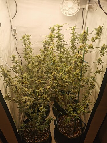 Growreport Bild 9