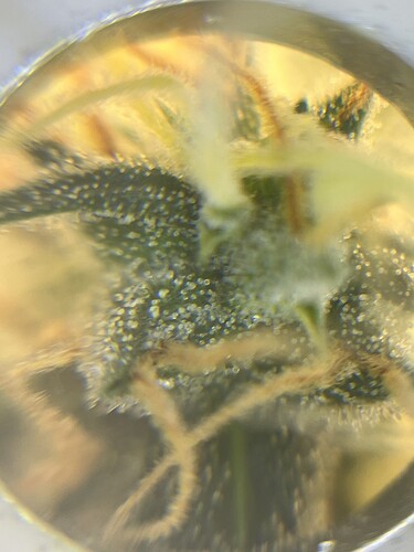 Growreport Bild 21