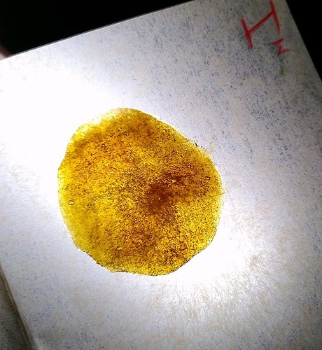 obscura1638042202974