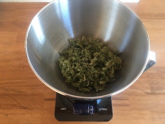 Growreport Bild 22