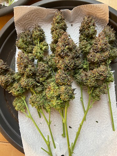 Growreport Bild 15