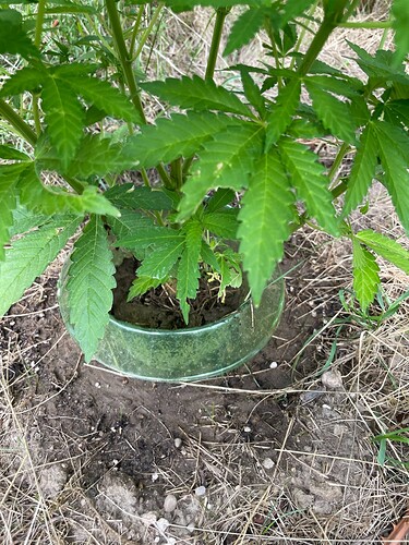 Growreport Bild 12
