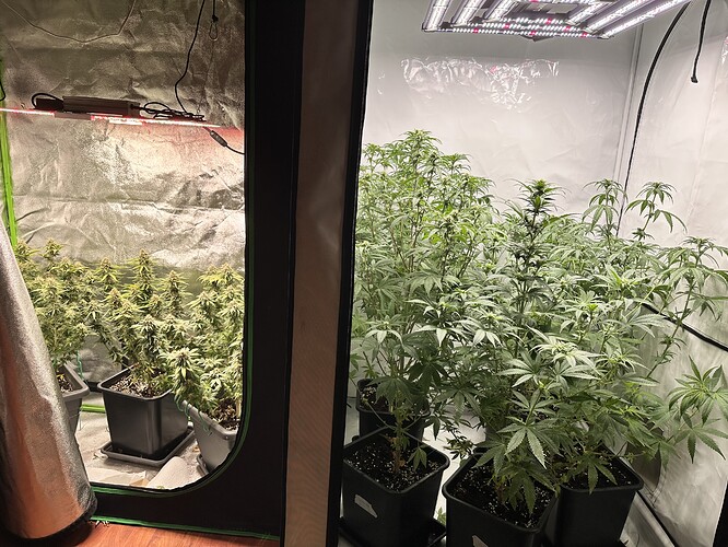 Growreport Bild 2