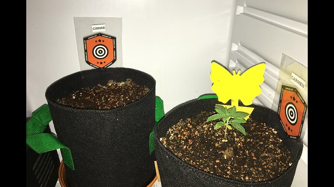 Growreport Bild 10