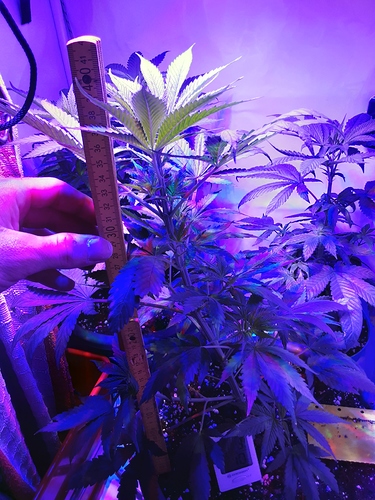 Growreport Bild 21