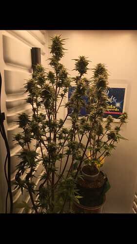 Growreport Bild 8