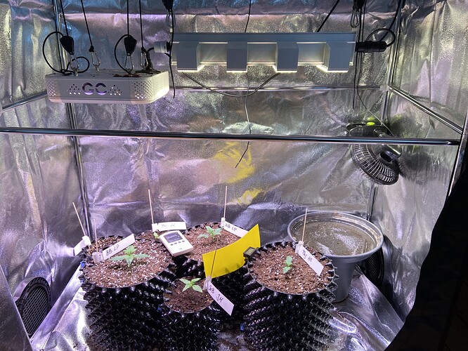 Growreport Bild 29