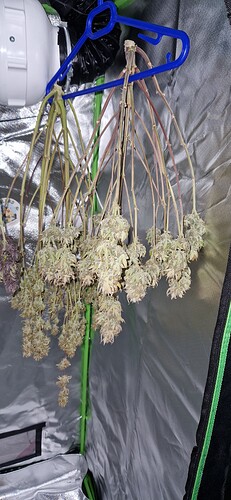 Growreport Bild 1