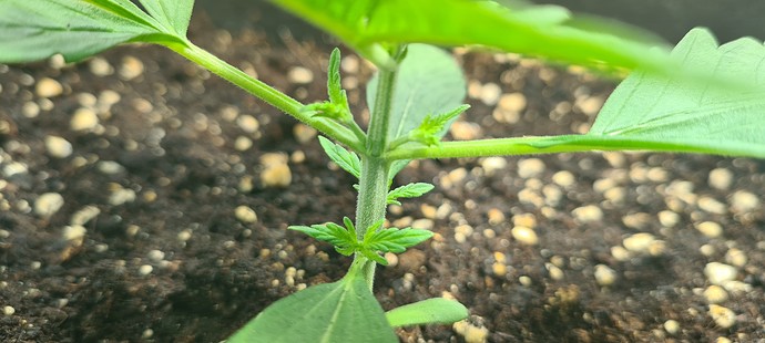 Growreport Bild 9