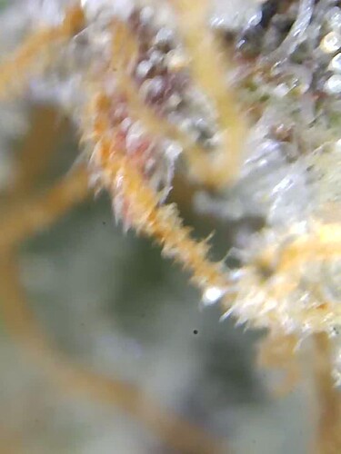 Growreport Bild 10