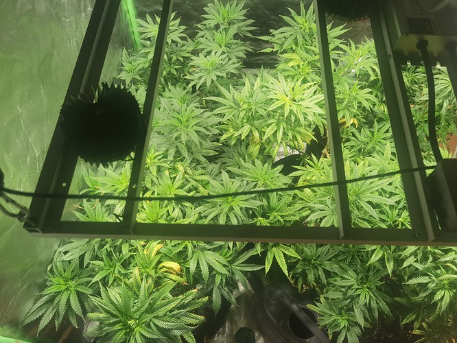 Growreport Bild 17
