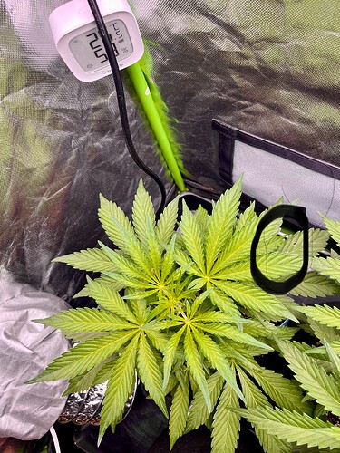 Growreport Bild 21