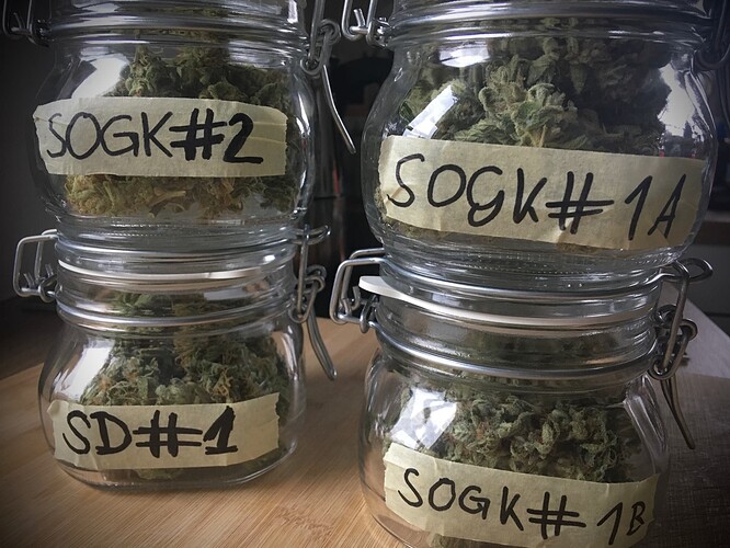 Growreport Bild 1