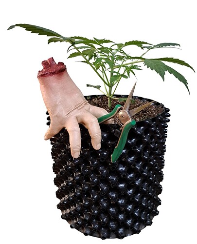 Screenshot_20231220_105047_PhotoRoom