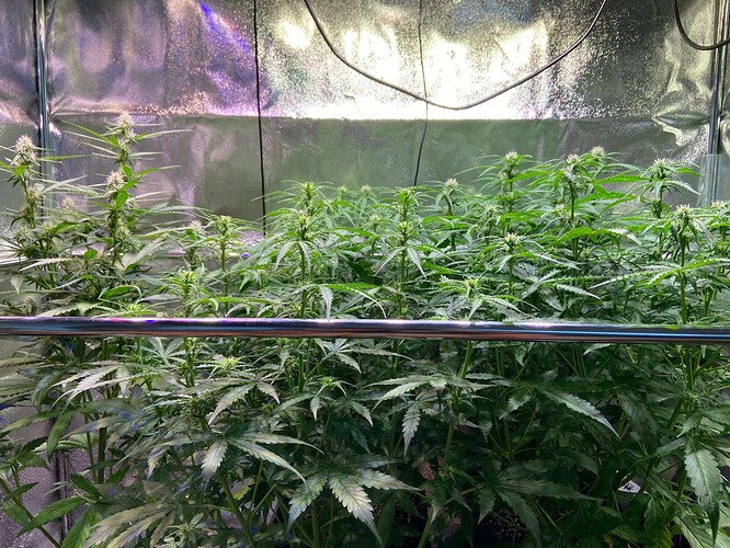 Growreport Bild 11