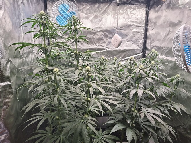 Growreport Bild 26