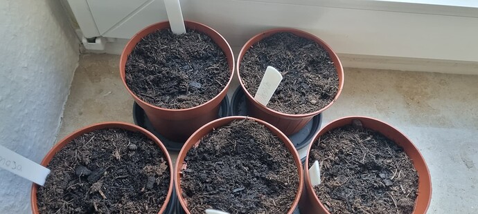 Growreport Bild 12
