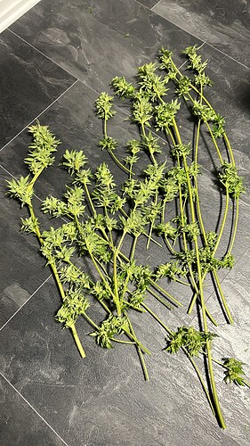 Growreport Bild 15