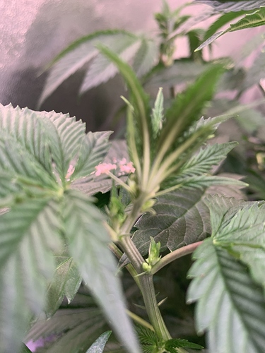 Growreport Bild 8