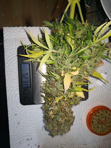 Growreport Bild 11