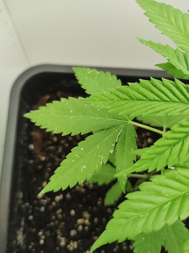 threema-20230727-192443547