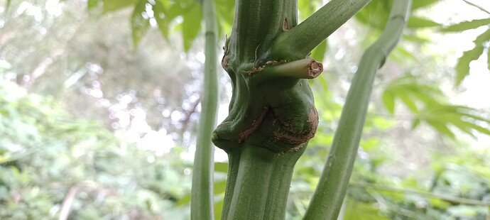 Growreport Bild 12
