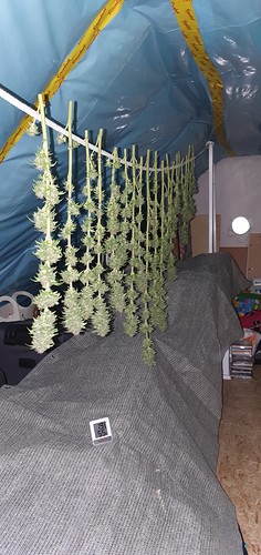 Growreport Bild 6