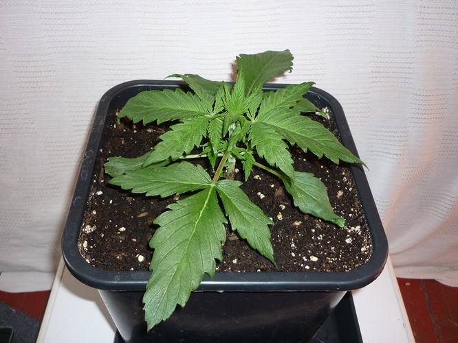 Growreport Bild 10