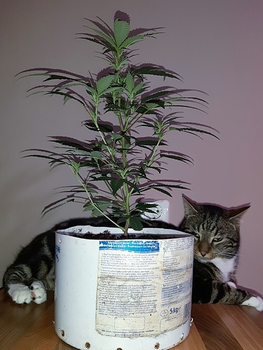 Growreport Bild 10