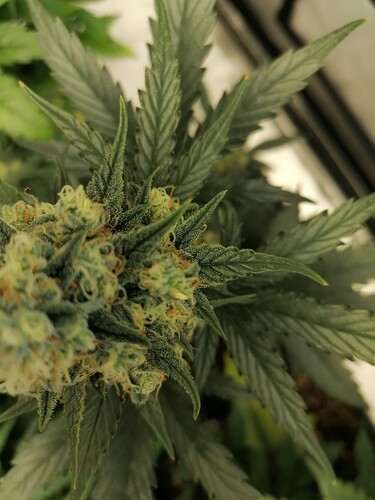 Growreport Bild 10