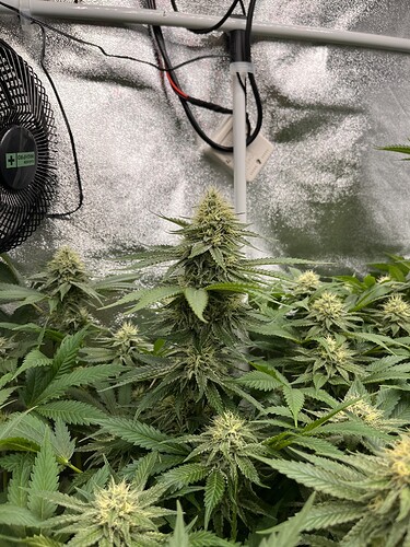 Growreport Bild 1