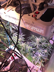 Growreport Bild 22