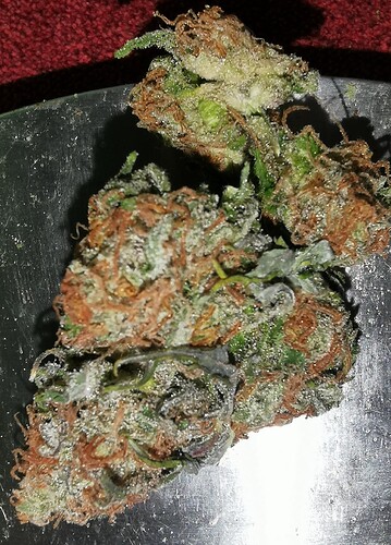 IMG_20220613_195428_edit_103087429065519